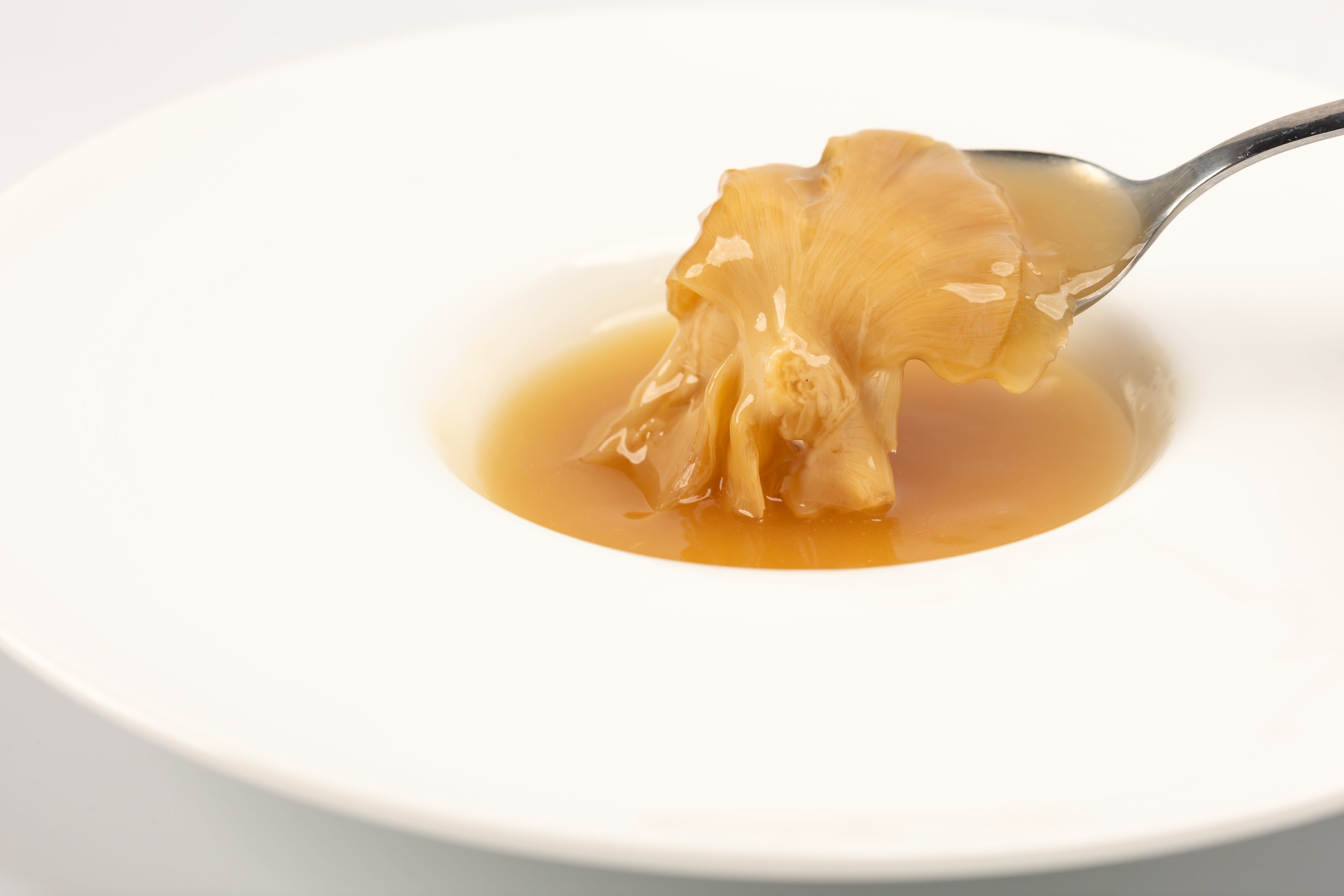 【YouTubeコラボ記念】ホテル一景閣「フカヒレ姿煮」訳あり・期間限定販売のお知らせ