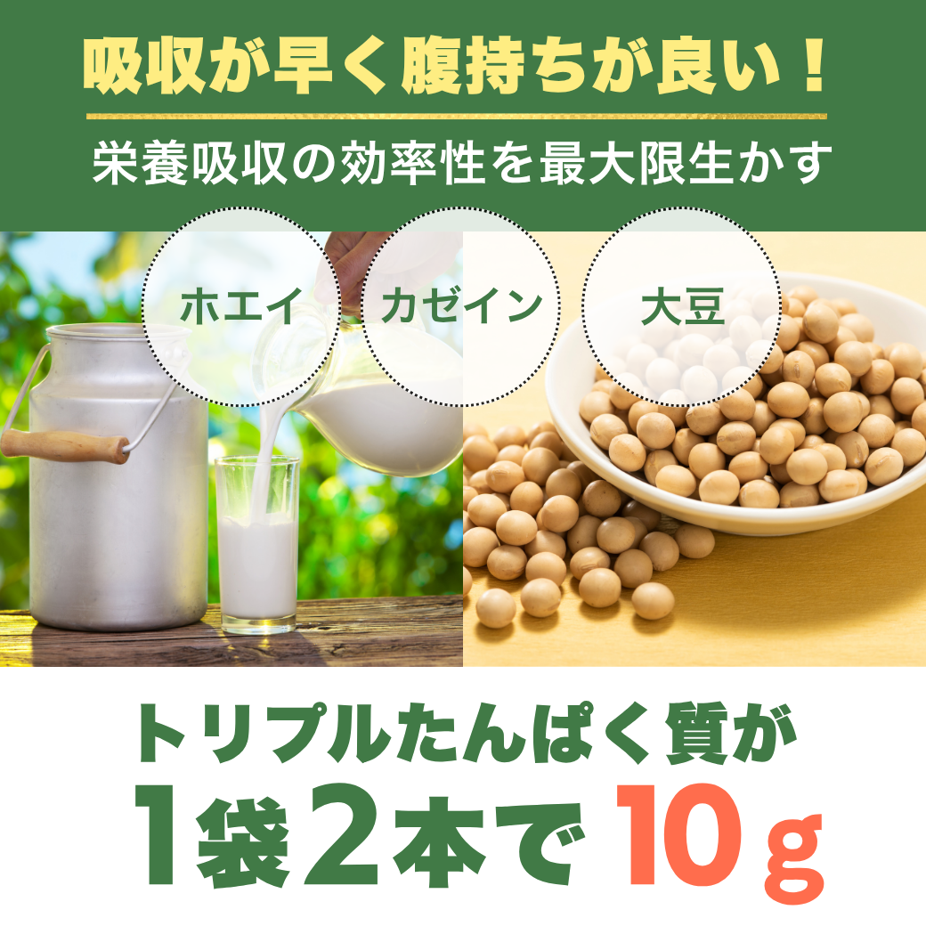 【定期便】KGGプロテインバー「たんぱっくん」ちょこ味 グルテンフリー 小麦不使用 気仙沼製造 国産 社会福祉に還元 手づくり製造 たんぱく質10g超 ビタミン11種 ミネラル74種 乳酸菌