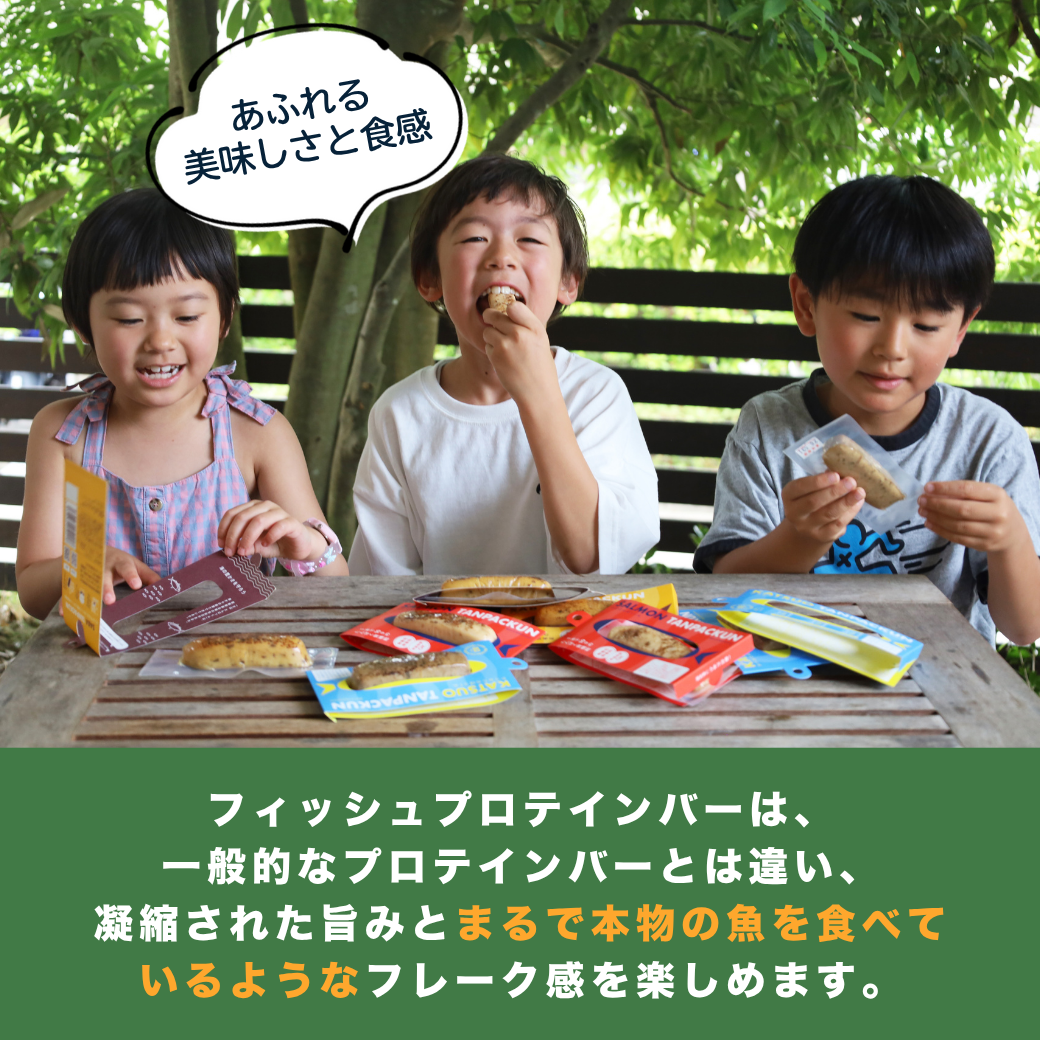 KGGフィッシュプロテインバー「さけたんぱっくん」鮭 国内製造 宮城県気仙沼市発