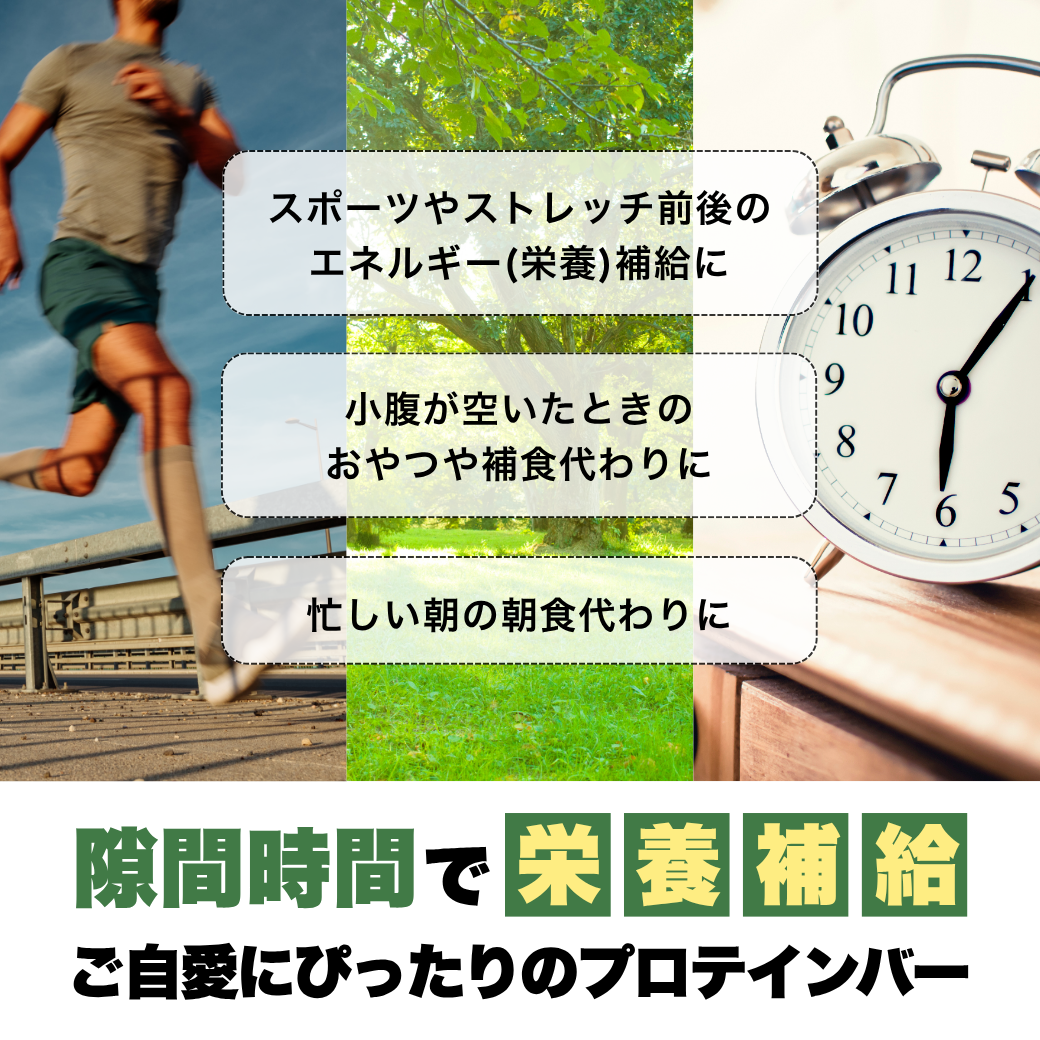 【定期便】KGGプロテインバー「たんぱっくん」ちょこ味 グルテンフリー 小麦不使用 気仙沼製造 国産 社会福祉に還元 手づくり製造 たんぱく質10g超 ビタミン11種 ミネラル74種 乳酸菌