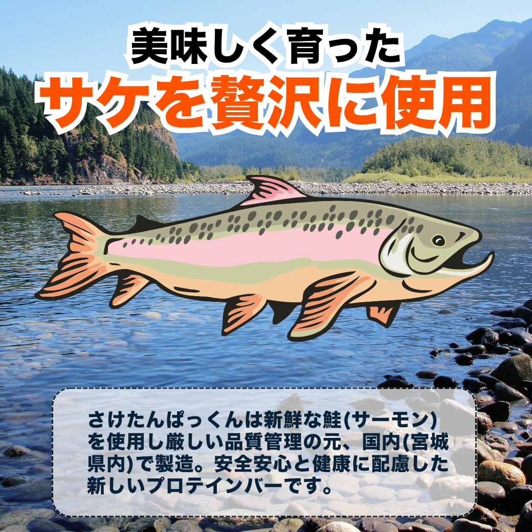 【お試し・送料無料】おさかなたんぱっくん(かつお・さけ・さば) 海から生まれたプロテインバー fish protein 国内製造