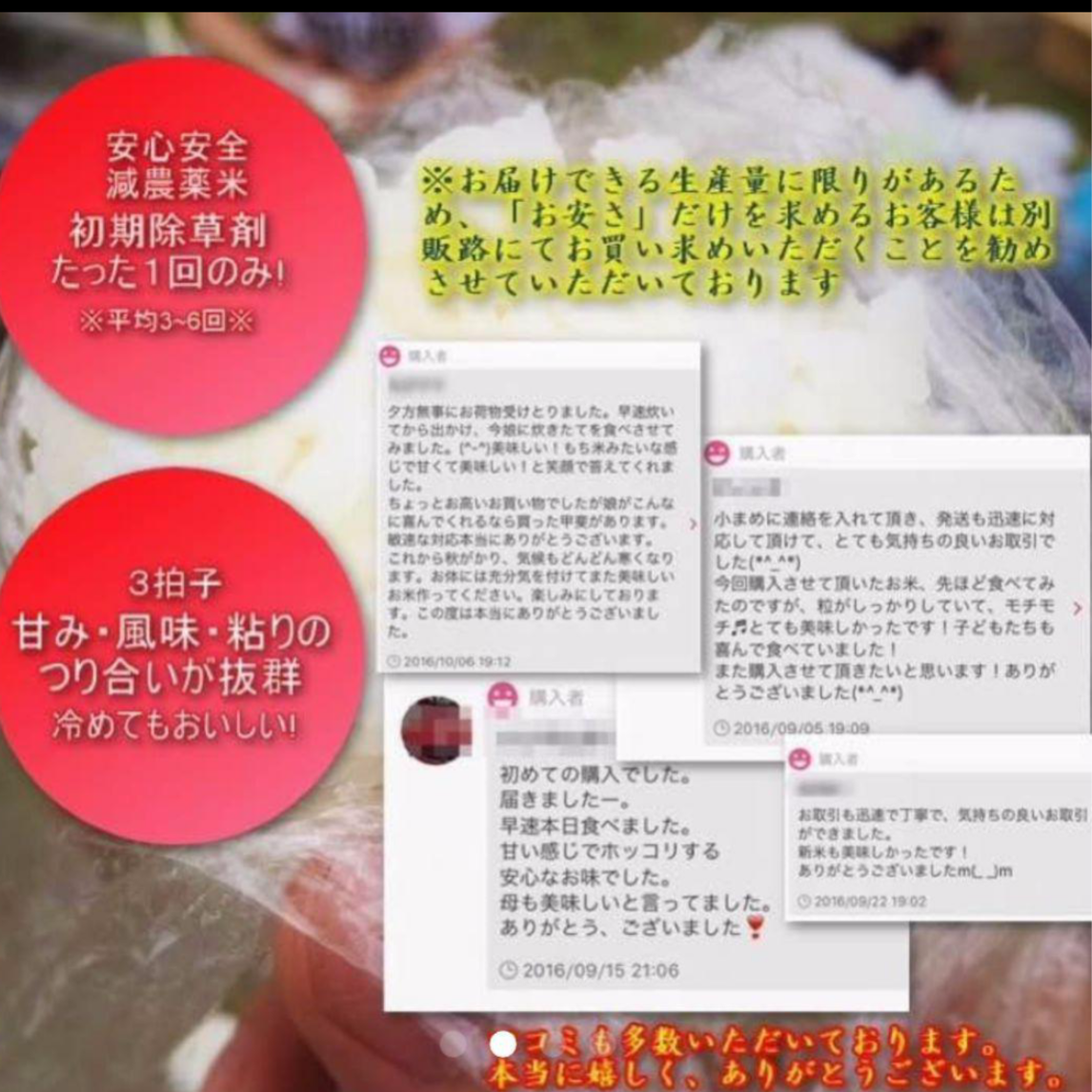 【数量限定】令和7年度 気仙沼の里山のお米 あきたこまち 農家直送米