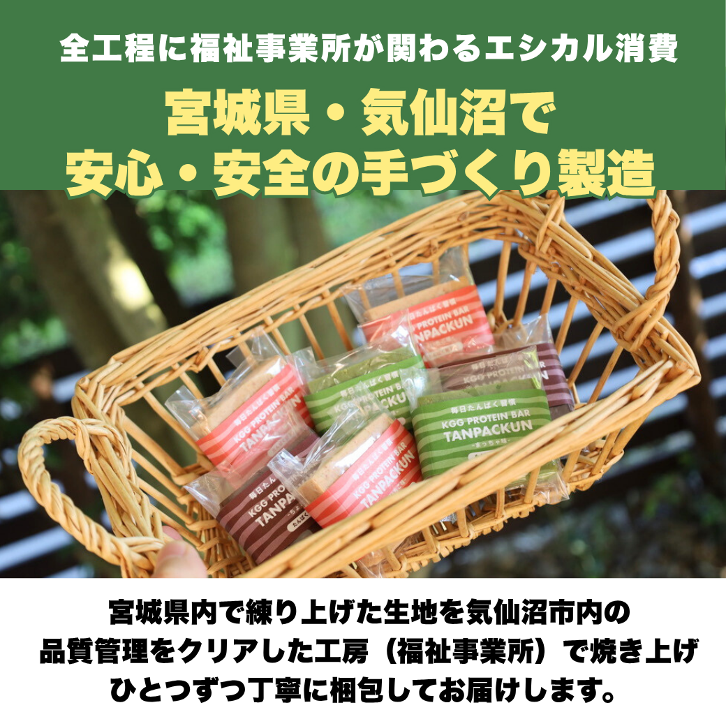 【定期便】KGGプロテインバー「たんぱっくん」ちょこ味 グルテンフリー 小麦不使用 気仙沼製造 国産 社会福祉に還元 手づくり製造 たんぱく質10g超 ビタミン11種 ミネラル74種 乳酸菌