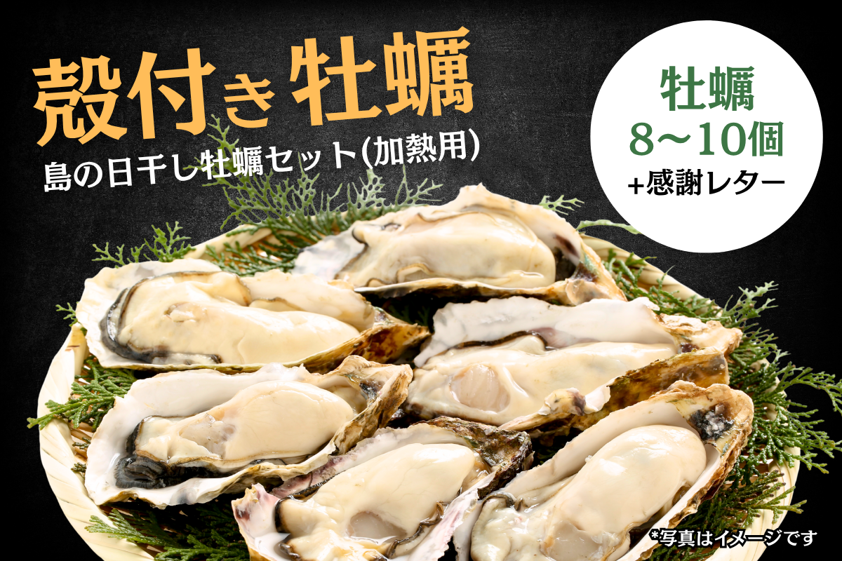 津波で失った筏（いかだ）を取り戻し、〈宮城初〉の新ブランド牡蠣を全国へ―外浜の海を未来につなぐ挑戦
