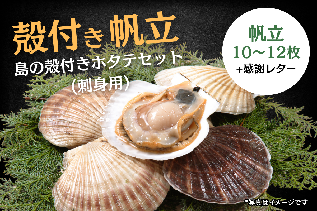 津波で失った筏（いかだ）を取り戻し、〈宮城初〉の新ブランド牡蠣を全国へ―外浜の海を未来につなぐ挑戦