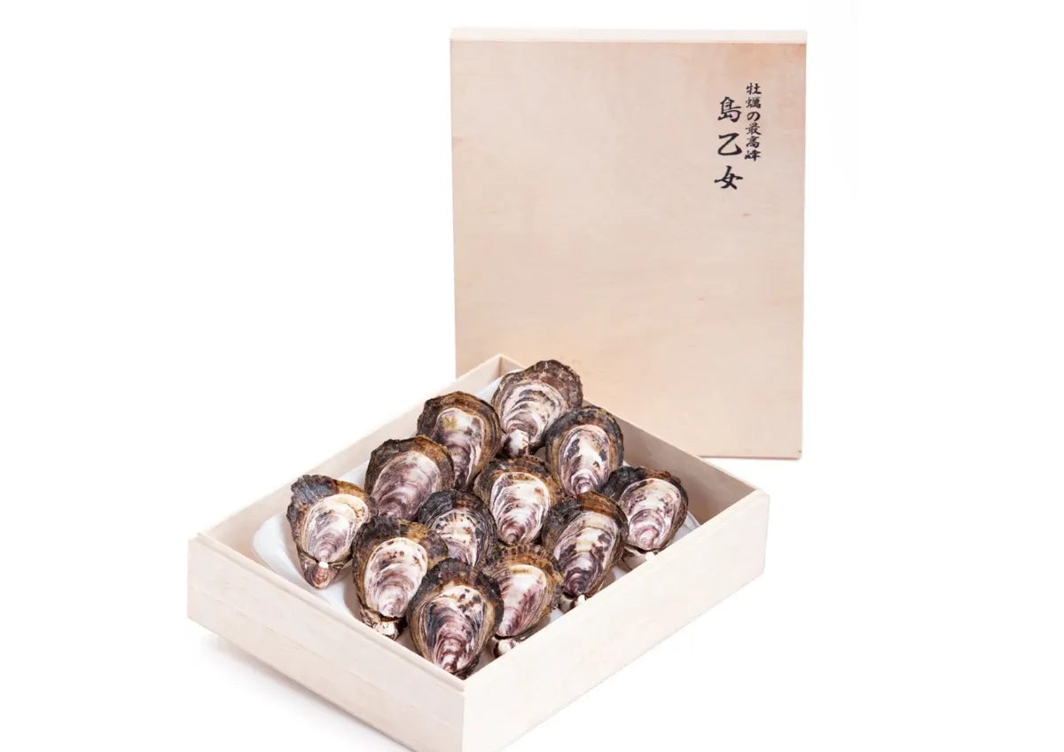 気仙沼大島「島乙女」牡蠣 セット（2026年6月販売予定）漁師直送